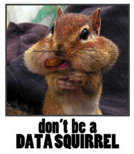 data-squirrel